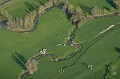  ruisseau,rivière,méandres,pâturages 